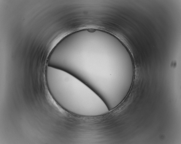 X0000111230906200907021356