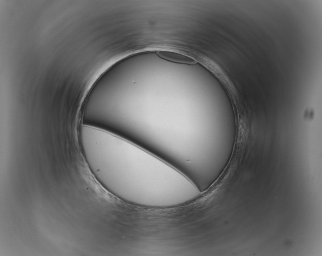 X0000111230908200907021356