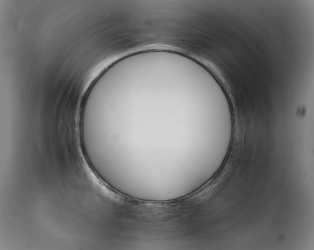 X0000111230910200907021356