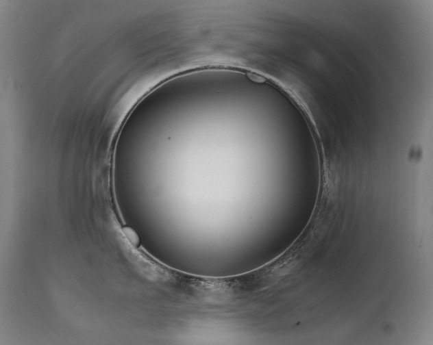 X0000111230911200907021356