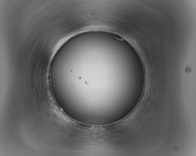 X0000111230912200907021356