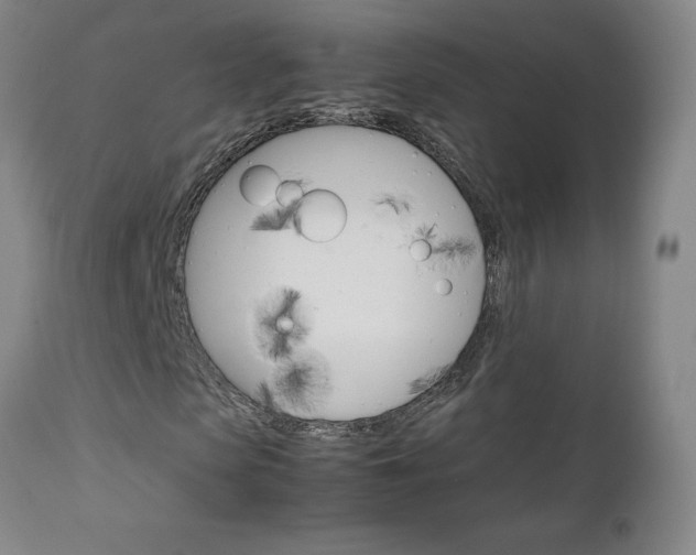 X0000111230913200907021355