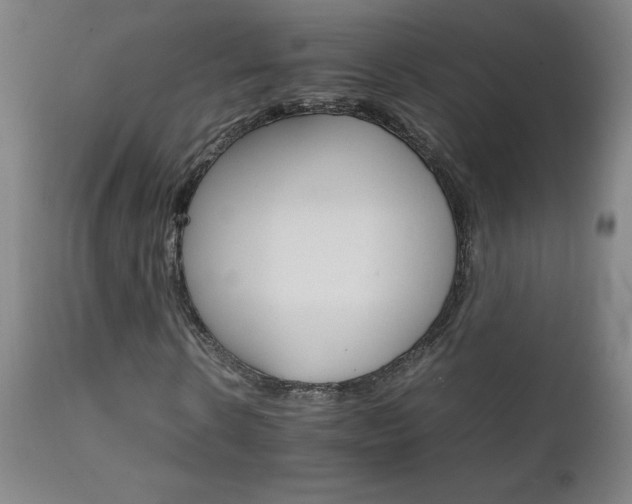 X0000111230914200907021355