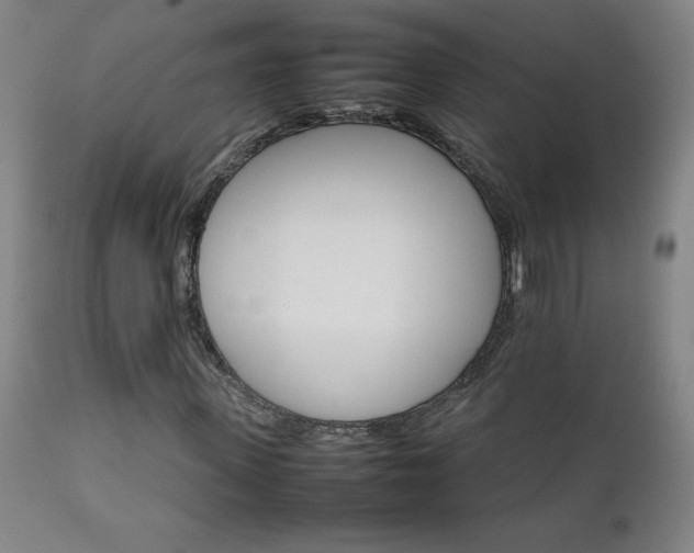 X0000111230915200907021355