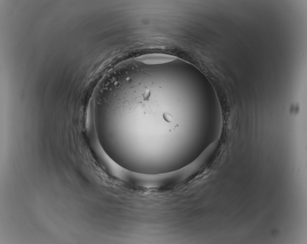 X0000111230916200907021355