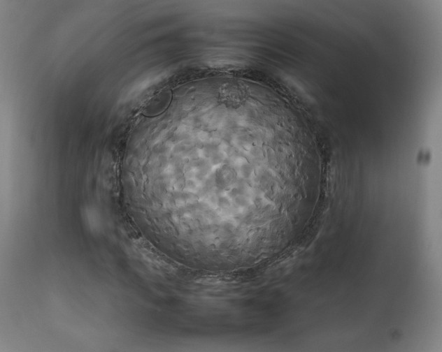 X0000111230917200907021355