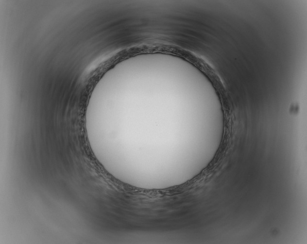 X0000111230919200907021355