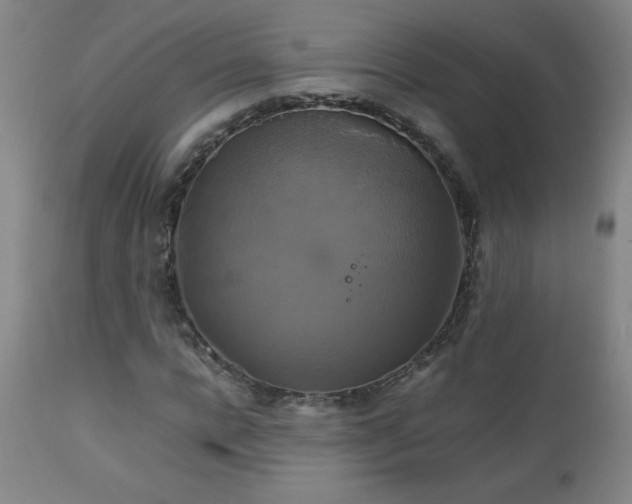 X0000111230920200907021355