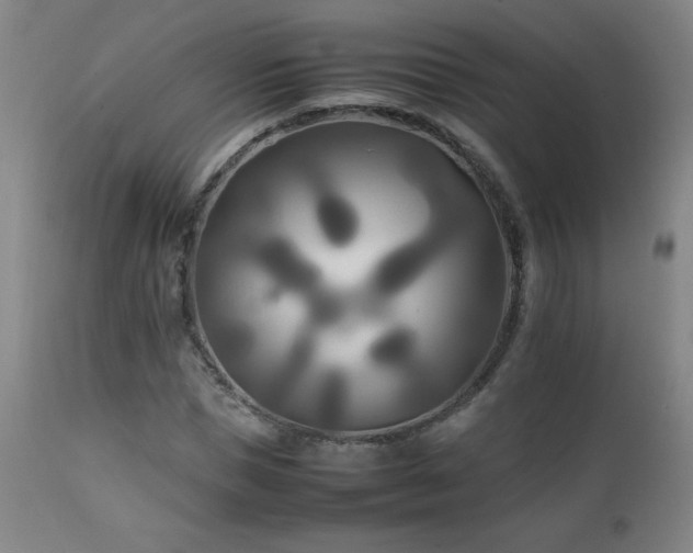 X0000111230921200907021355