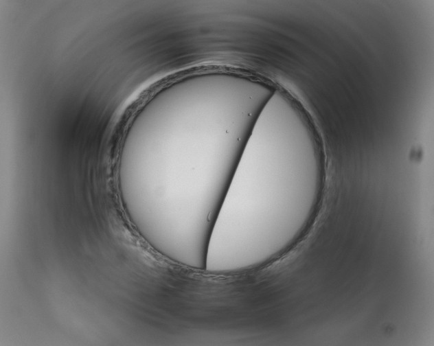 X0000111230923200907021355