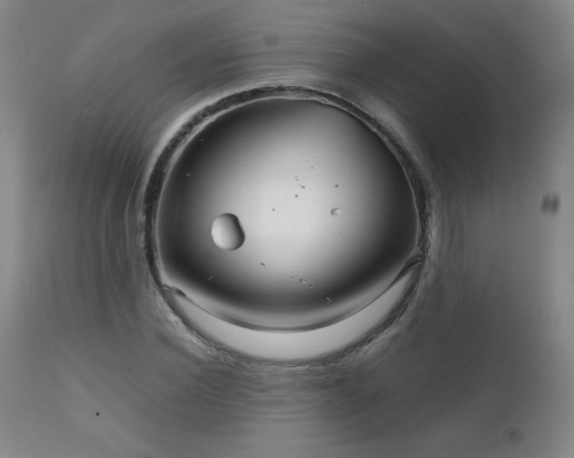 X0000111230924200907021355