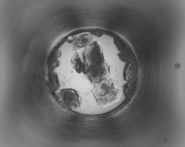 X0000111230925200907021355