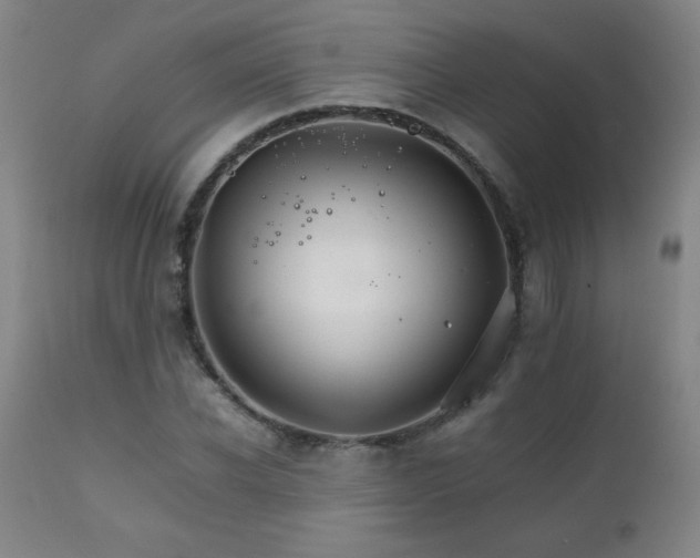 X0000111230926200907021355