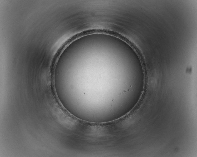 X0000111230927200907021355
