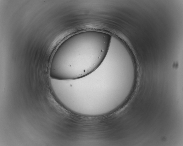 X0000111230930200907021355