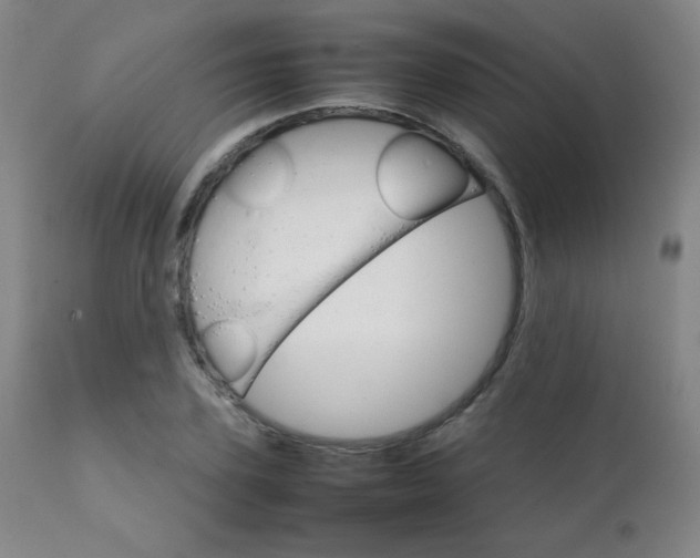 X0000111230931200907021355