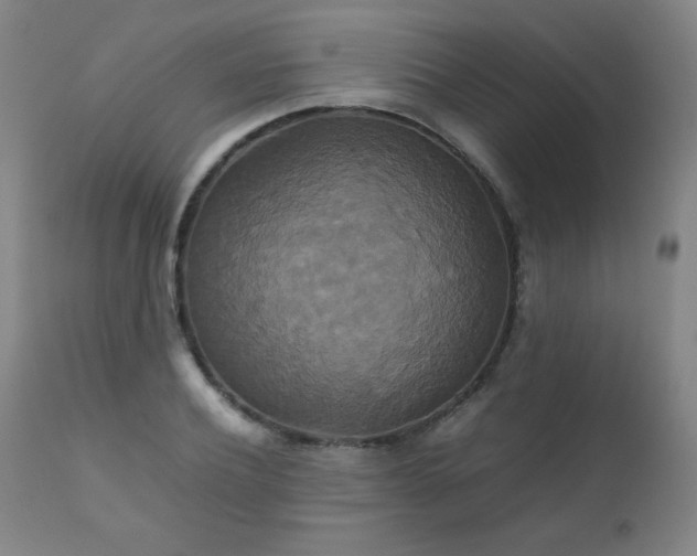 X0000111230932200907021355