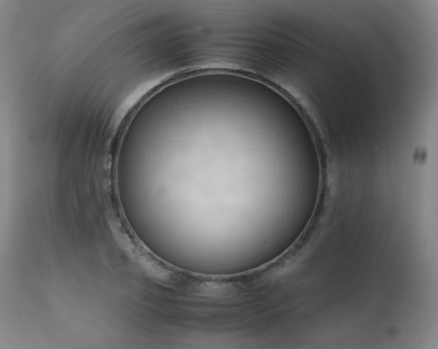 X0000111230933200907021355