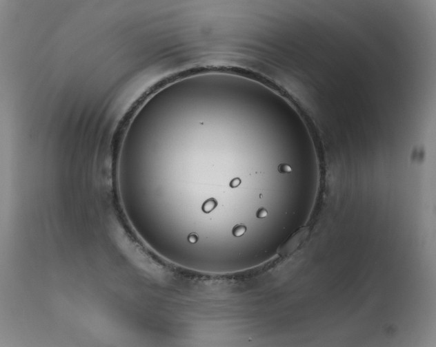 X0000111230934200907021355