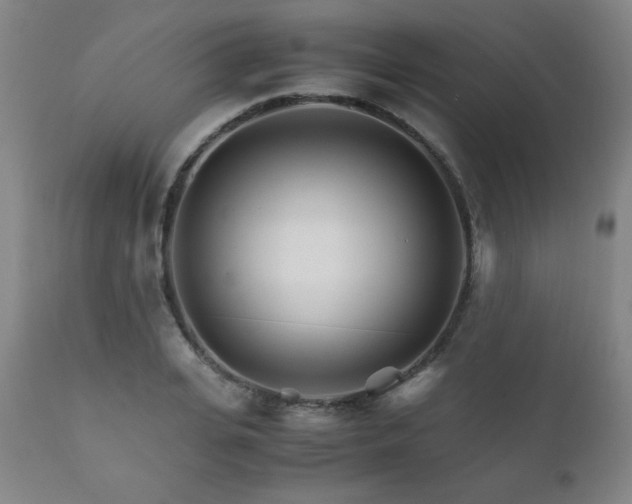 X0000111230935200907021355