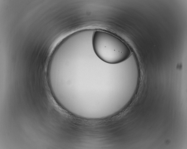 X0000111230936200907021355