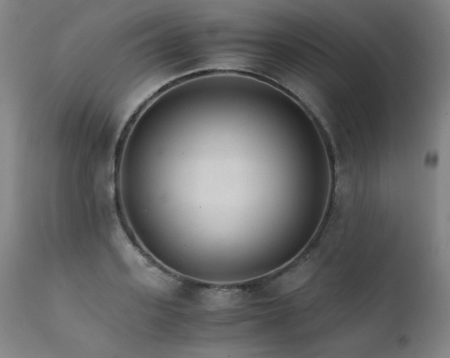 X0000111230939200907021355