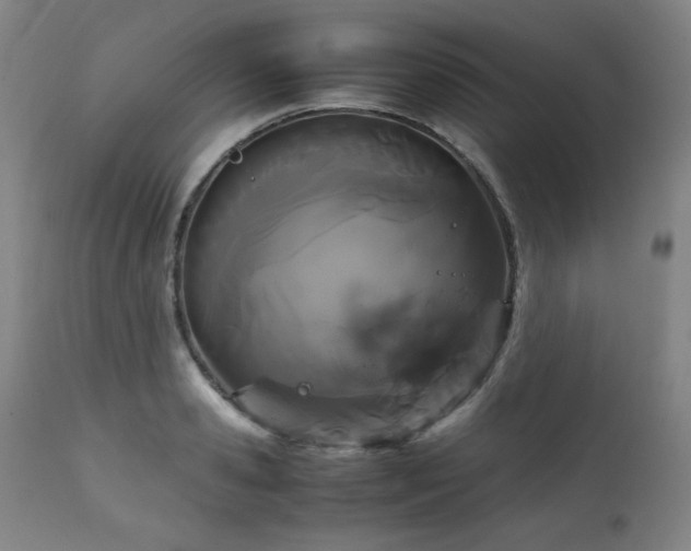 X0000111230941200907021355