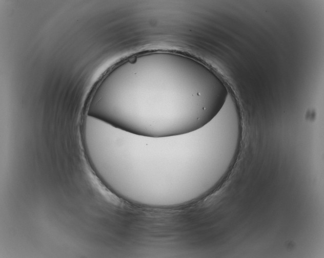 X0000111230942200907021355