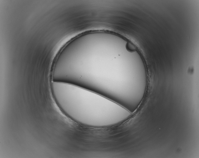 X0000111230943200907021355