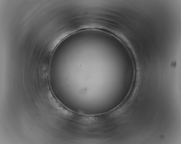 X0000111230945200907021355
