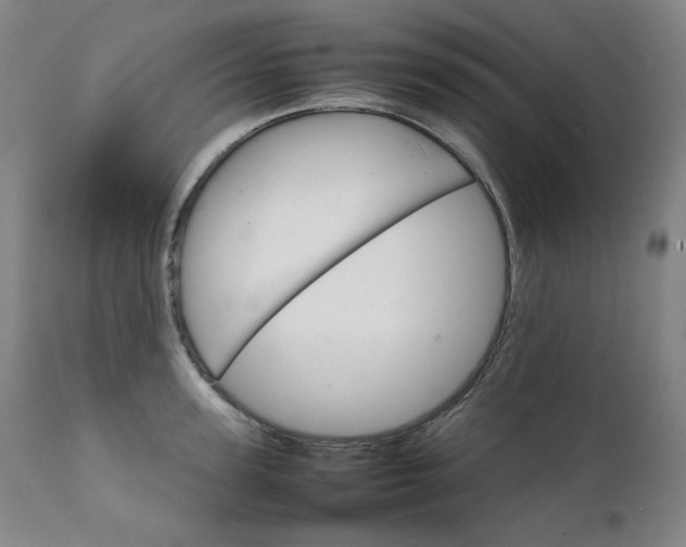X0000111230947200907021355