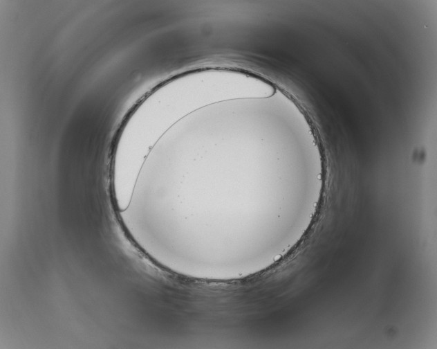 X0000111230950200907021355