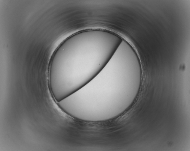 X0000111230951200907021355