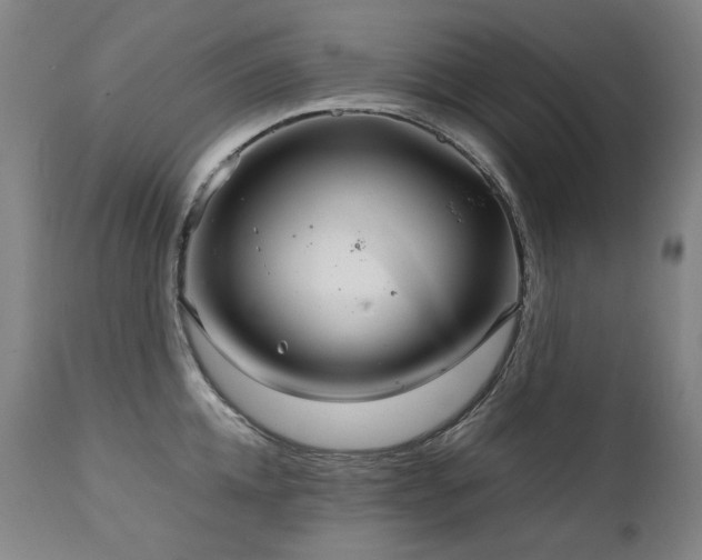 X0000111230952200907021355