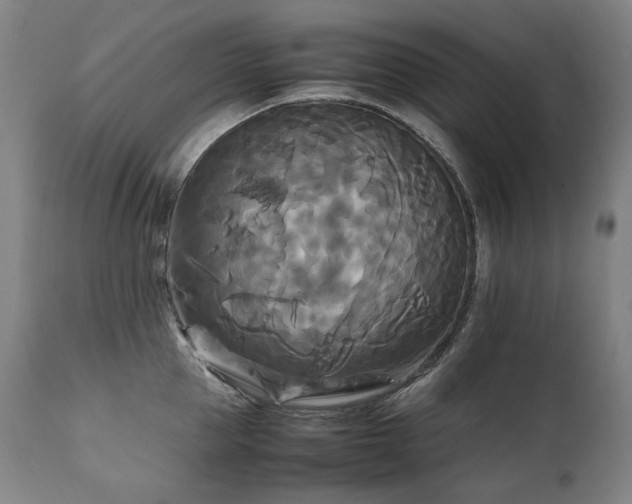 X0000111230953200907021356