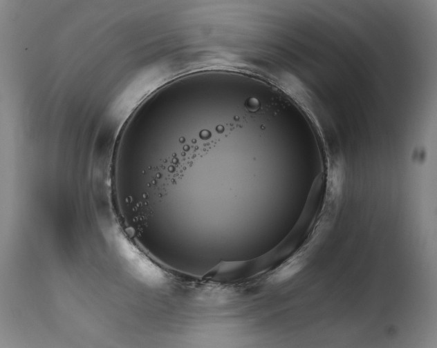X0000111230954200907021356
