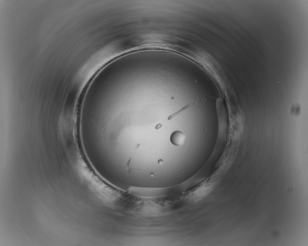 X0000111230955200907021356