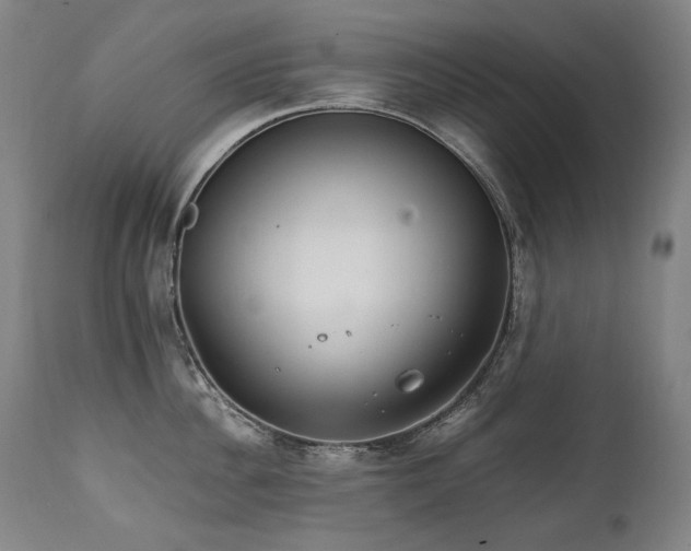 X0000111230956200907021356
