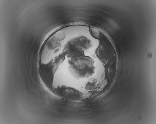 X0000111230957200907021356