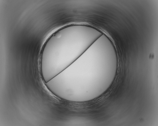 X0000111230959200907021356