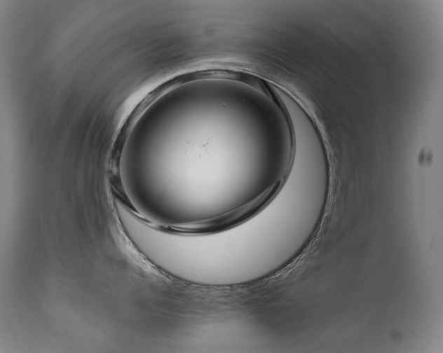 X0000111230960200907021356