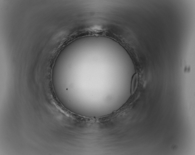 X0000111230961200907021355