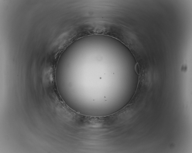 X0000111230962200907021355