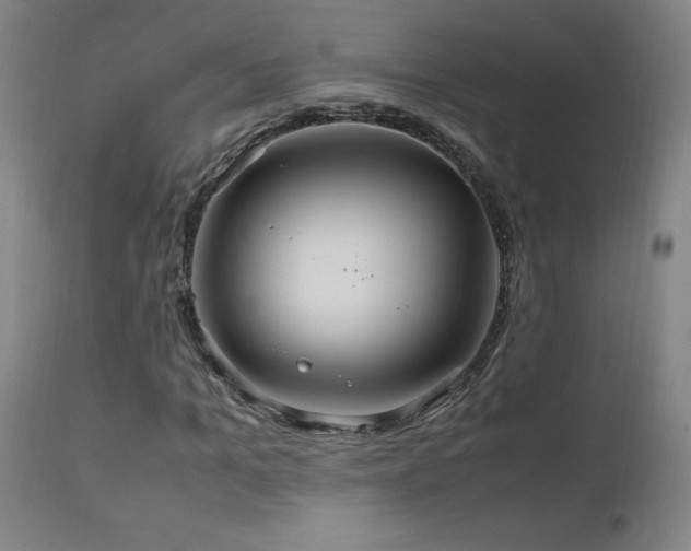 X0000111230965200907021355