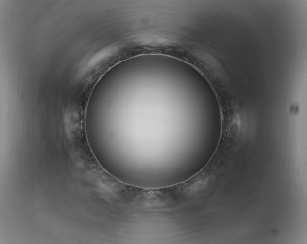 X0000111230966200907021355