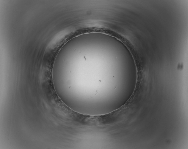 X0000111230967200907021355
