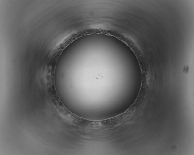 X0000111230968200907021355