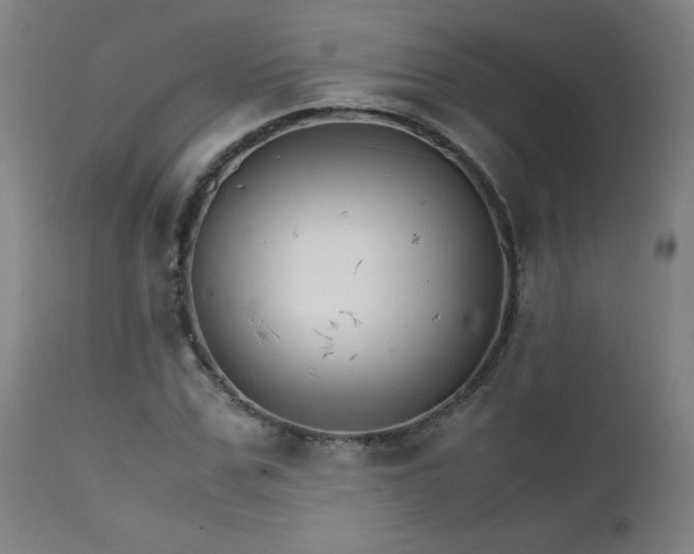X0000111230971200907021355