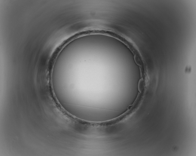 X0000111230973200907021355