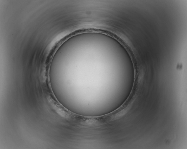X0000111230974200907021355